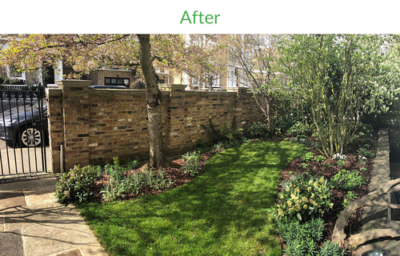 After picture of Soft landscaping in Notting Hill London showing freshly laid garden turfing by Greenstone landscapes